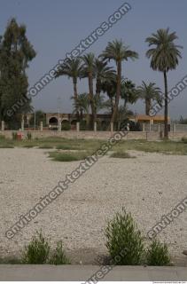 Photo Texture of Landscape Dendera 0142